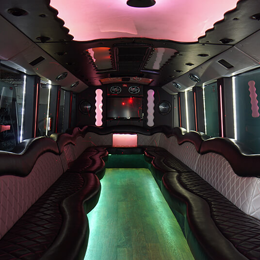 30-passenger party bus Flint